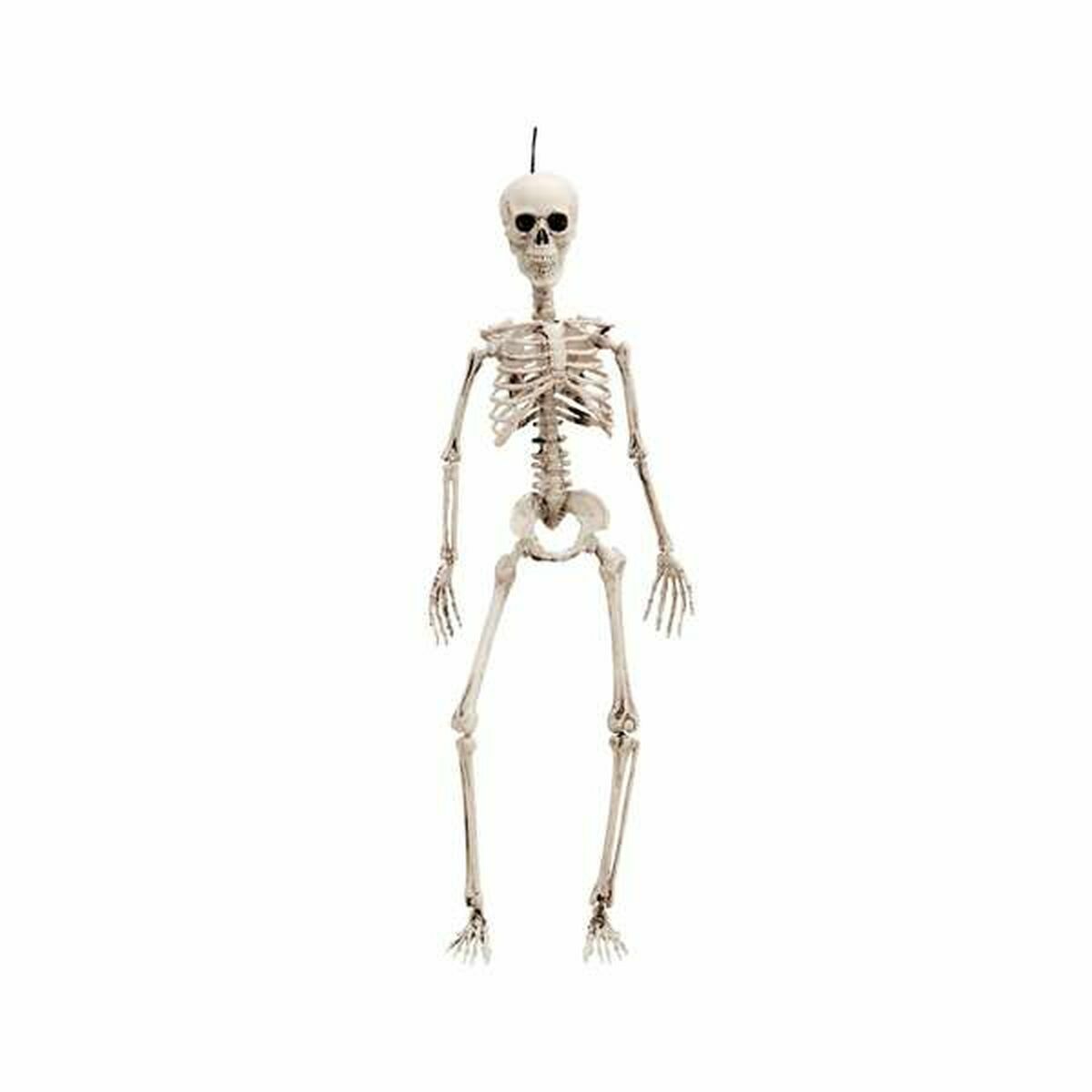 Halloween Decorations My Other Me 90 cm Skeleton One size - Little Baby Shop